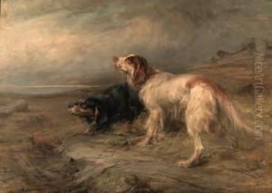 Setters: Gordon And Laverock