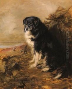 A Collie On Watch