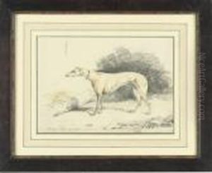 Study Of The Greyhound, Vanity; And Study Of Another Greyhound,tricksy by Samuel Jun Alken