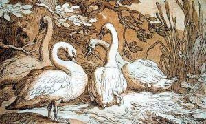 A Group of Swans by Abraham Bloemaert