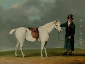 A Gentleman With A Saddled Grey Hunter