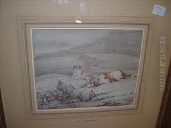Junior , Gun Dogsstalking Partridge - view 1