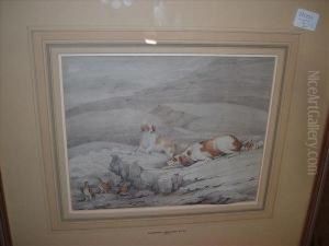 Junior , Gun Dogsstalking Partridge by Samuel Jun Alken