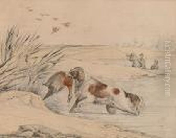 Duck Shooting - A Spaniel Retrieving A Mallard. - view 1