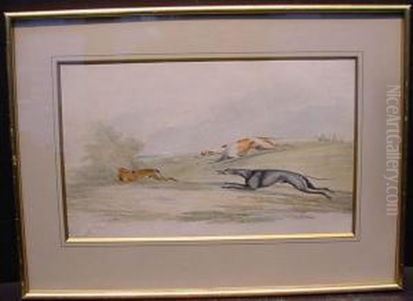 Coursing - view 1