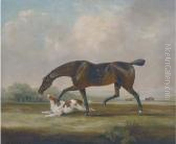 A Racehorse With A Spaniel - view 1