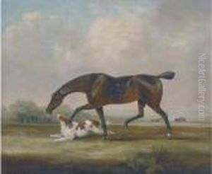 A Racehorse With A Spaniel