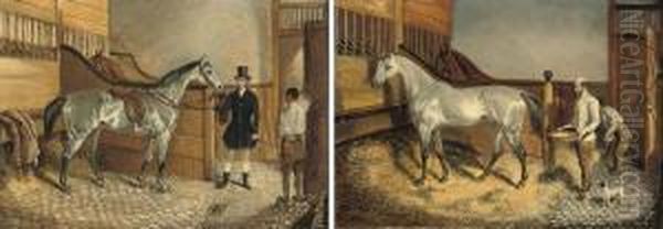 The Squire's Hunter - view 1