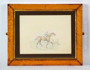 A Study Of The Racehorse Eclipse by Henry Jr Alken