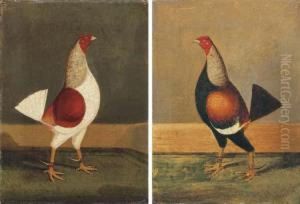 Fighting Cocks by Henry Jr Alken