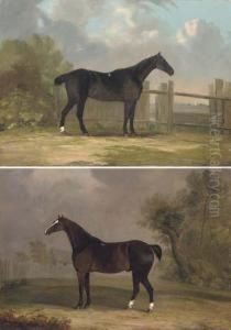 Dark Bay Hunters In Their Paddocks by Henry Thomas Alken