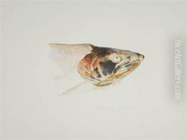 Silver Salmon, Papermill Creek - view 1