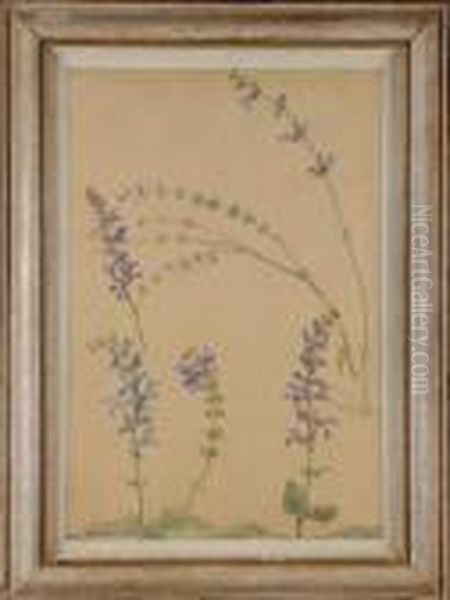 Etude De Fleurs - view 1