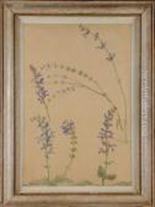 Etude De Fleurs by Ludovic Alleaume