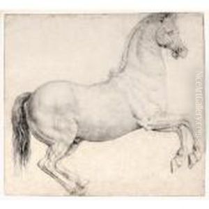 A Rearing Horse A Rearing Horse