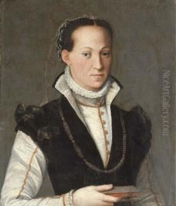 Portrait Of A Lady, Half-length,
In A High-necked Gown With A Ruff And Gold Brocade Trim, A Book In Her
Right Hand by Alessandro Allori