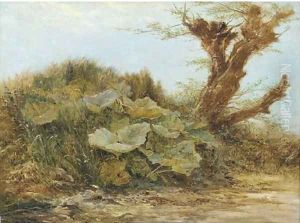 Study of a Butter Burr and a Pollarded Willow by Samuel Bough