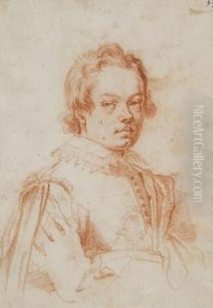 Ritratto Di Giovane Gentiluomo - view 1