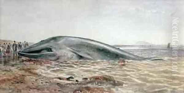 The Aberlady Whale, Longriddy Bay - view 1