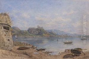 Paysage D'arona