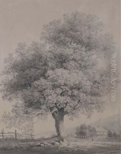 The Old Tree by Jacob Alt