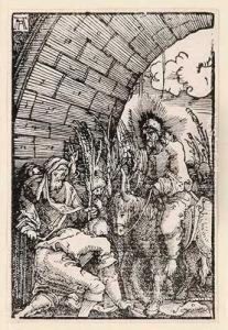 Sundenfall Und Erlosung Des Menschengeschlechts by Albrecht Altdorfer