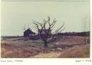 Cove Farm On Naushon Island by Archer Robert Altermatt