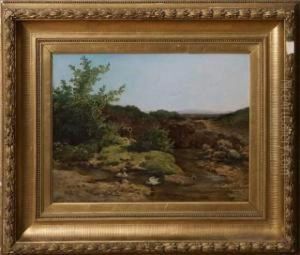 Paysage Marecageux Aux Canards by Anton Ii Altmann