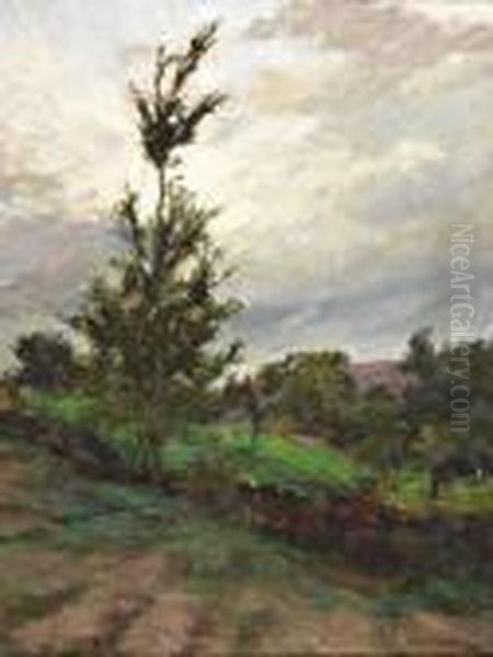 Paisagem - view 1