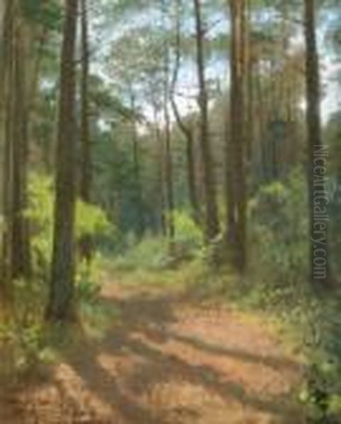 Waldinneres, Misdroy. Ol Auf
Malkarton. 43 X 34,5 Cm. Um 1870. Links Unten Bezeichnet "misdroy" Sowie
Rechts Unten Signiert. Gerahmt. - view 1