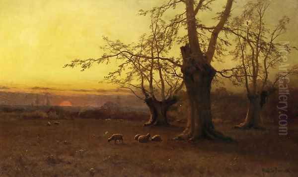 A Spring Evening, Burnham Beeches - view 1