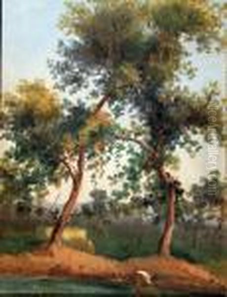 Paesaggio - view 1