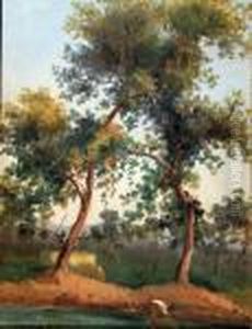 Paesaggio by Domenico Ammirato