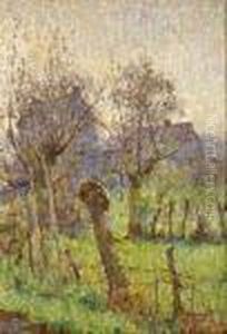 Coin De Jardin Au Vieux Saule