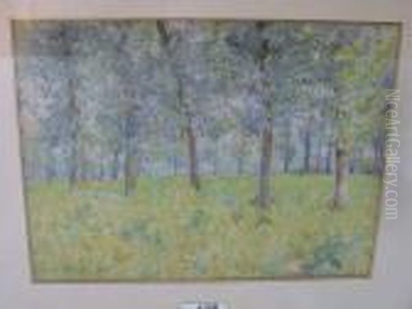 Le Sous Bois Au Printemps - view 1