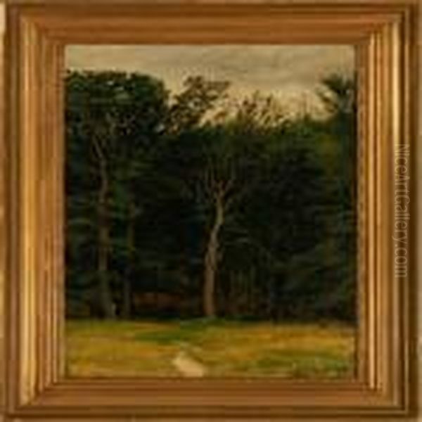 A Glade - view 1