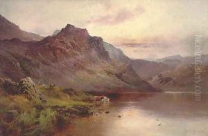 Cattle watering beside a highland loch