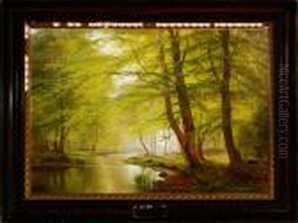 A Spring Beech Forest Scenery - view 1