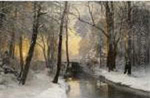 Winter Woodland At Dawn Winter Woodland At Dawn