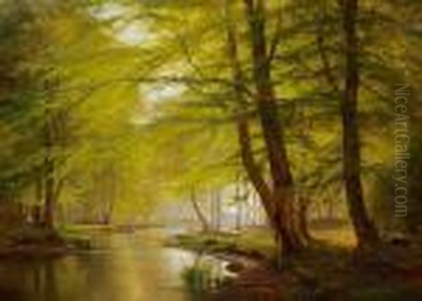 Beech Trees, Springtime - view 1