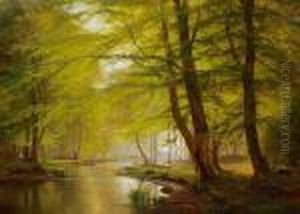 Beech Trees, Springtime