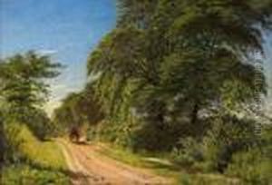 Vagen Fran Eremitagen Mot Lundby by Anders Anderson-Lundby