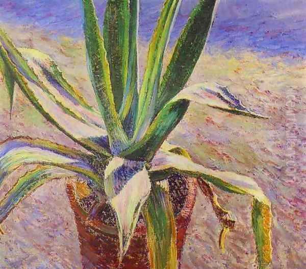 Agave. 1897 - view 1