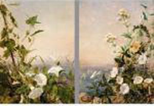 Still Life Of Flowers, Capri by Sophie Gengembre Anderson