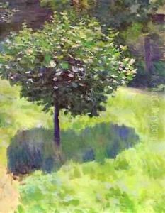 A Tree Study