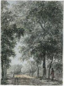 A Wooded Path At Treslong, Near Hillegom