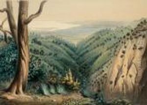 View From Mount Lofty Looking Over The Plains Of Adelaide