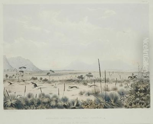 Kangaroo Hunting Near Port Lincoln - view 1