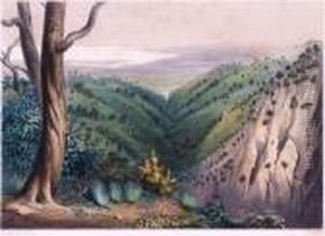 View From Mt Lofty Looking Over The Plains Of Adelaide