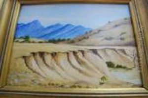 Brachina Creek by George French Angas